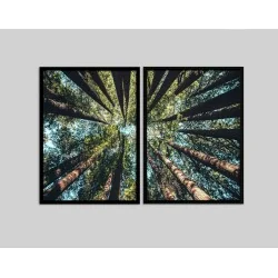 "Árvores" Conjunto de quadros decorativos