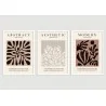 "Trio Matisse tons neutros" Conjunto de quadros decorativos