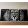 "Trio leão" Conjunto de quadros decorativos