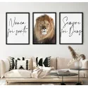 "Nunca foi sorte Sempre foi Deus" Conjunto de quadros decorativos
