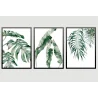 "Trio de folhas em aquarela" Conjunto de quadros decorativos