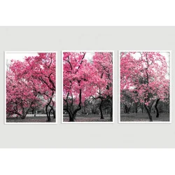 "Trio cerejeira" Conjunto de quadros decorativos