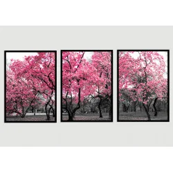 "Trio cerejeira" Conjunto de quadros decorativos
