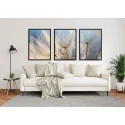 "Trio dente de leão tons azul" Conjunto de quadros decorativos