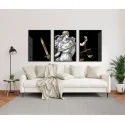 "Deusa da Justiça Themis - Direito" Conjunto de quadros decorativos