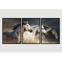 "Trio quadros Cavalos" Conjunto de quadros decorativos