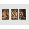 "Leoa com dois filhotes" Conjunto de quadros decorativos