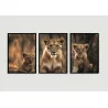 "Leoa com dois filhotes" Conjunto de quadros decorativos