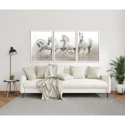 "Conjunto de quadros...