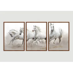 "Conjunto de quadros Cavalos" Conjunto de quadros decorativos