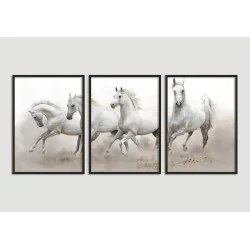 "Conjunto de quadros Cavalos" Conjunto de quadros decorativos