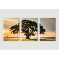 "Árvore da vida" Conjunto de quadros decorativos