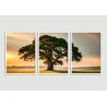 "Árvore da vida" Conjunto de quadros decorativos