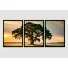 "Árvore da vida" Conjunto de quadros decorativos