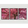 "Trio árvore cerejeira" Conjunto de quadros decorativos