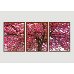 "Trio árvore cerejeira" Conjunto de quadros decorativos