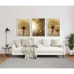 "Trio dente de leão dourado" Conjunto de quadros decorativos