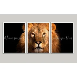 "Nunca foi sorte, sempre foi Deus VI" Conjunto de quadros decorativos