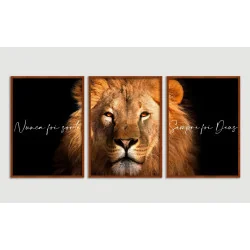 "Nunca foi sorte, sempre foi Deus VI" Conjunto de quadros decorativos