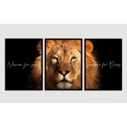"Nunca foi sorte, sempre foi Deus VI" Conjunto de quadros decorativos