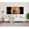 "Nunca foi sorte, sempre foi Deus VI" Conjunto de quadros decorativos