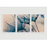 "Trio dente de leão tons azul" Conjunto de quadros decorativos
