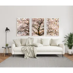 "Trio árvore cerejeira branca" Conjunto de quadros decorativos