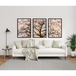 "Trio árvore cerejeira branca" Conjunto de quadros decorativos
