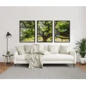 "Trio árvore da vida verde" Conjunto de quadros decorativos